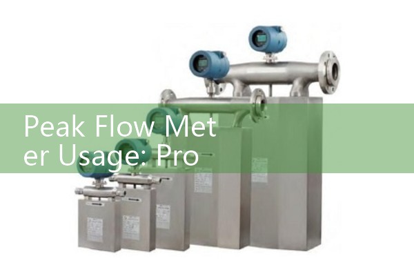 Peak Flow Meter Usage: Proper Daily Expiratory Test Techniques